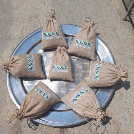 PHƠI NẮNG ĐỊNH KỲ