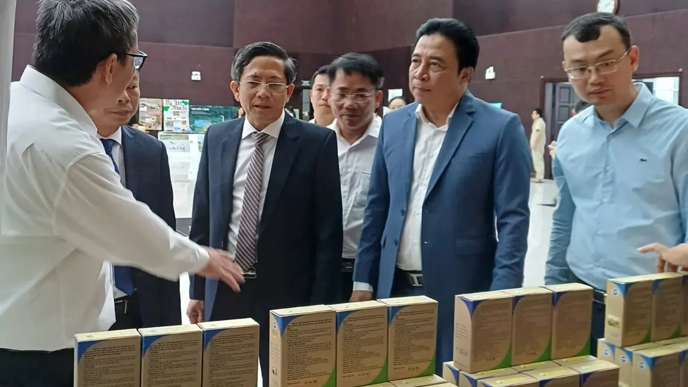 VÌ MỘT TƯƠNG LAI XANH, ENSO ĐÃ SẴN SÀNG!