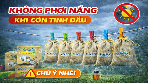Phơi nắng đúng cách