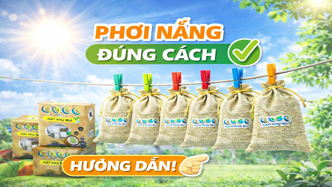 Phơi nắng đúng cách